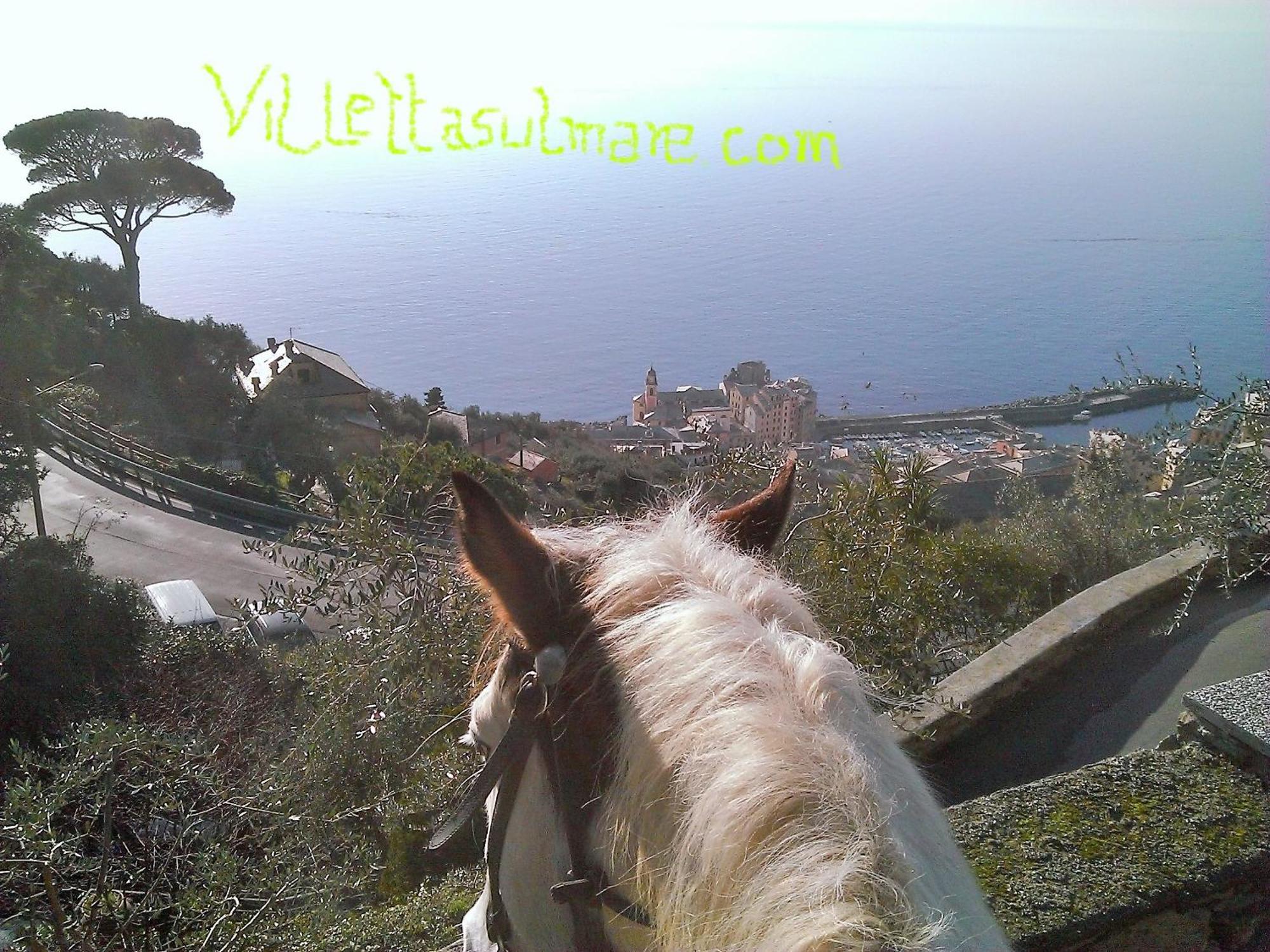 Villetta Sul Mare 카모글리 외부 사진